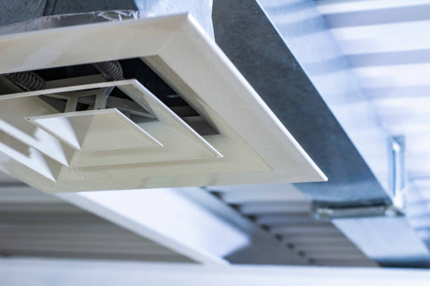Best HVAC Duct Inspection Services  in Williamsburg, FL
