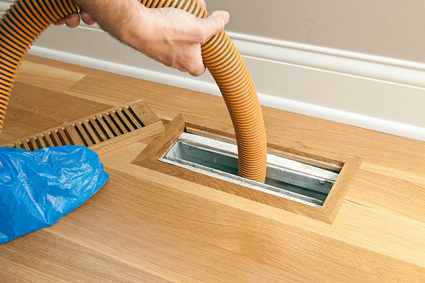 Best Ductwork Cleaning Services  in Williamsburg, FL