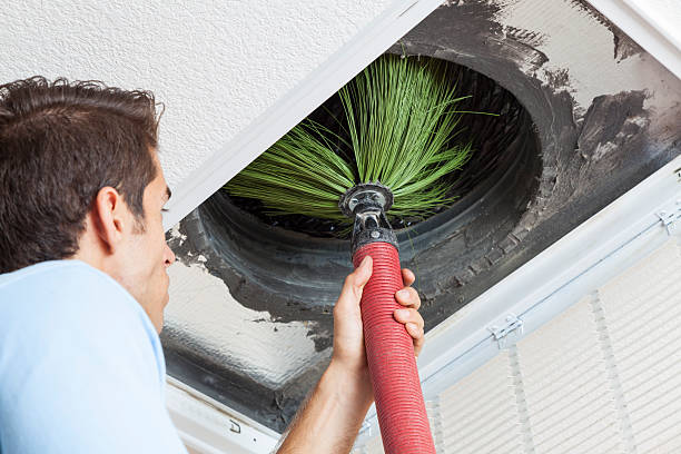 Best Affordable Air Duct Cleaning  in Williamsburg, FL