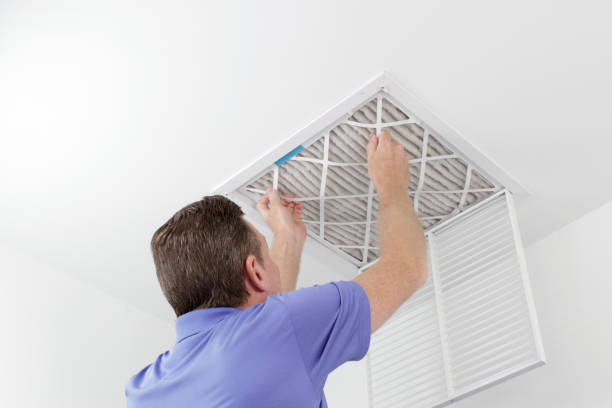 Best Residential Air Duct Cleaning  in Williamsburg, FL